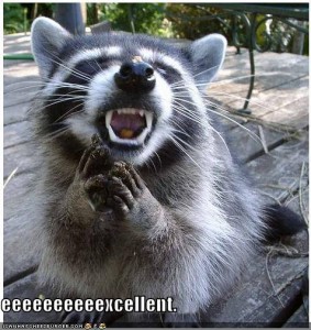 funny-pictures-evil-raccoon